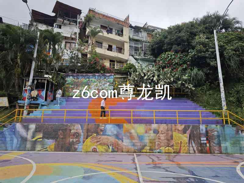 z6com尊龙凯