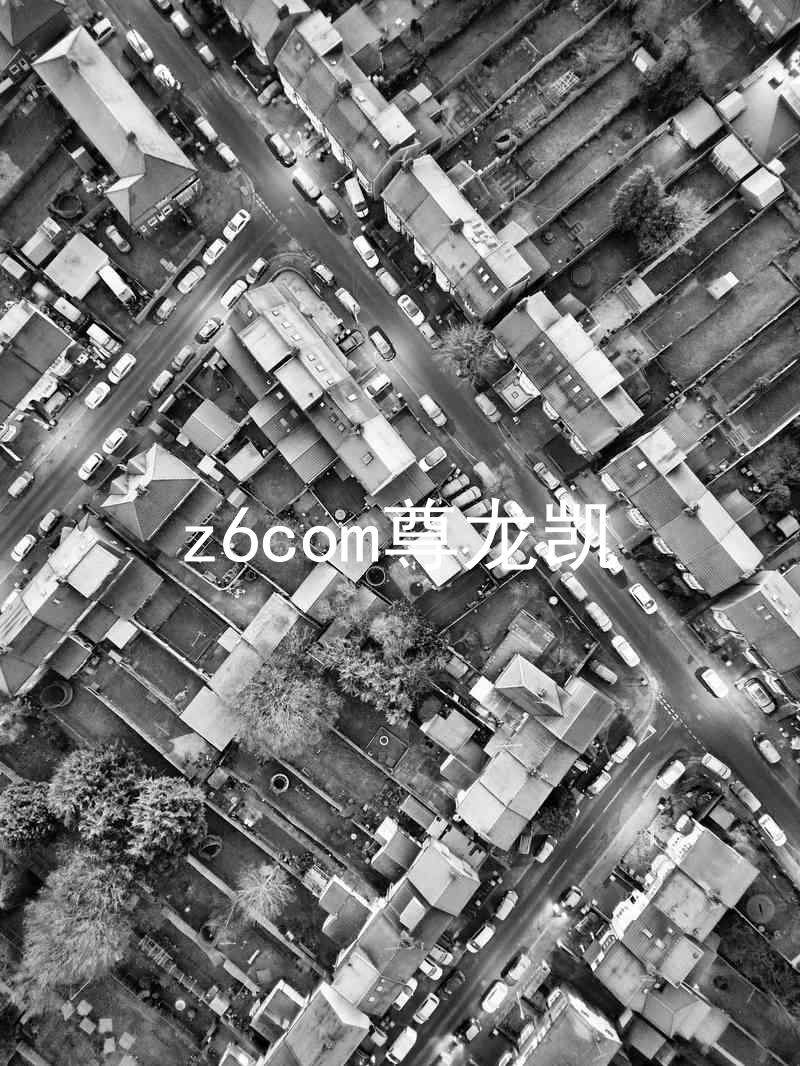 z6com尊龙凯
