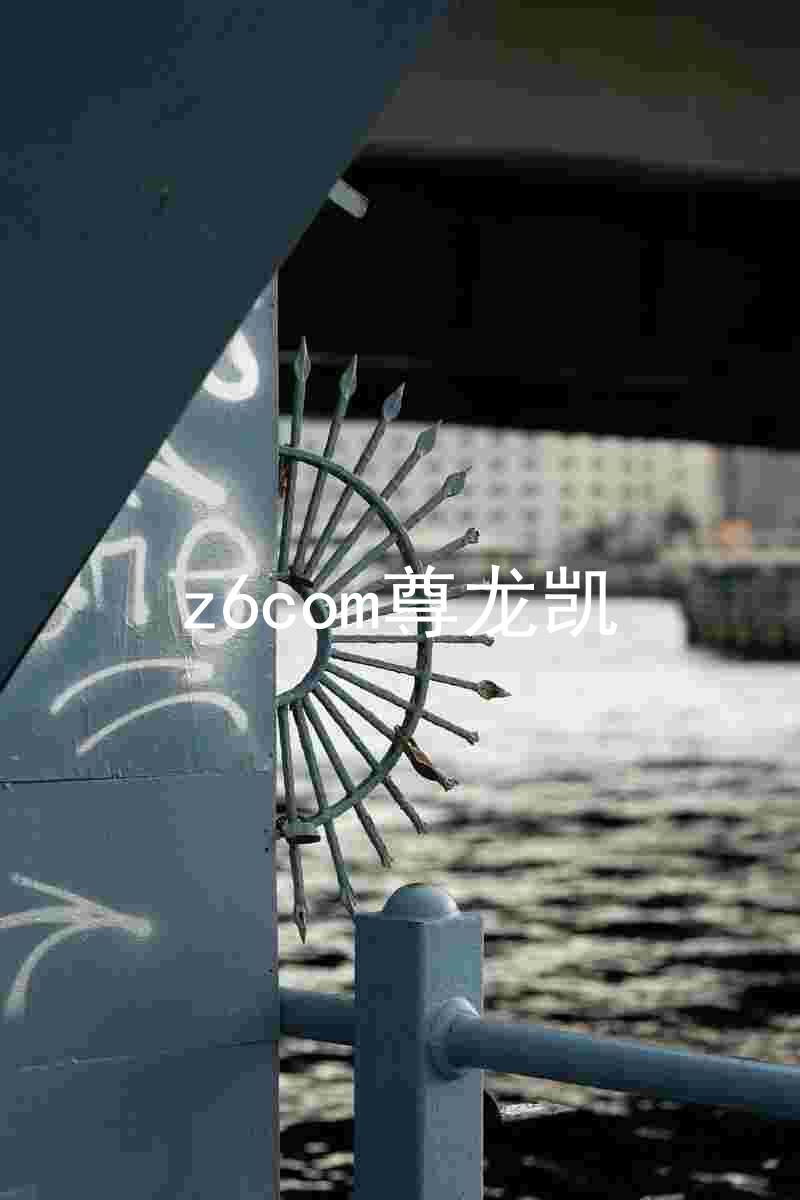 z6com尊龙凯